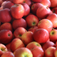 a lot of red apples